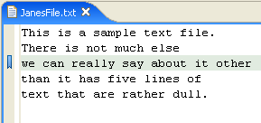 Editor with bookmark